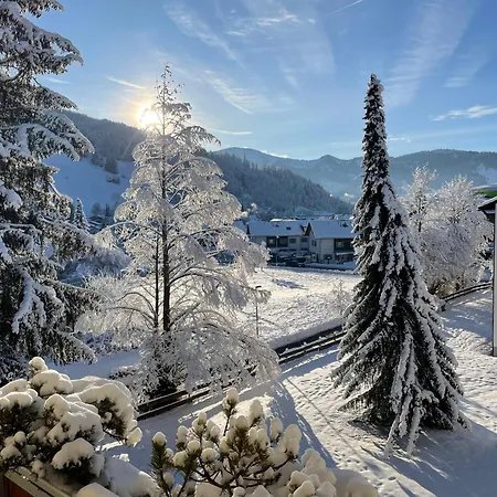 Gipfelblick